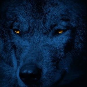 Meet your Posher, Abram